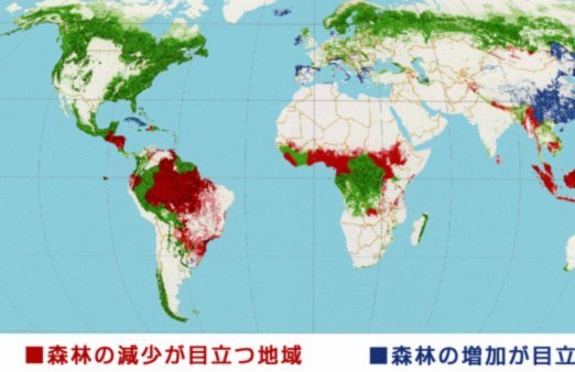卡塞米罗：魔笛克罗斯的牺牲与辉煌