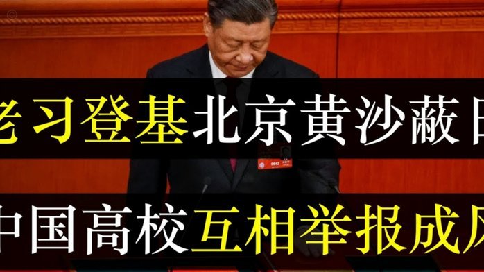 阿隆索续约稳了，更衣室也暖心