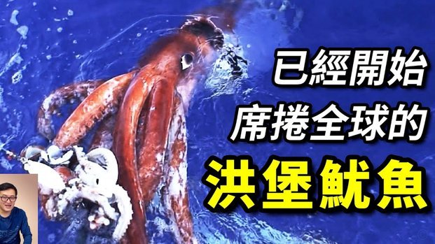 美加墨世界杯上的第一位中国人要登场了