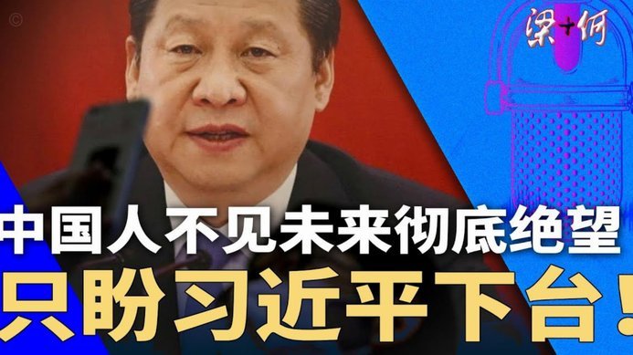 中国职业球员智商与黑人比较