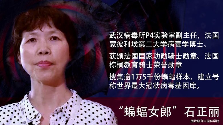 国乒男单失利，主要原因是外协实力提升还是自身实力下降？0
