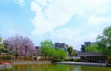 B队再取五连胜，暂时登顶北区第一