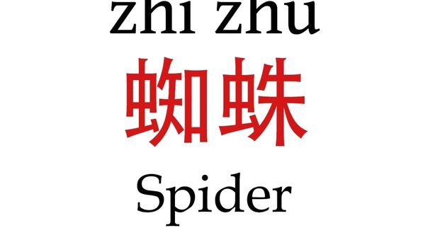 世体评：巴萨为何高估克鲁皮低看小蜘蛛